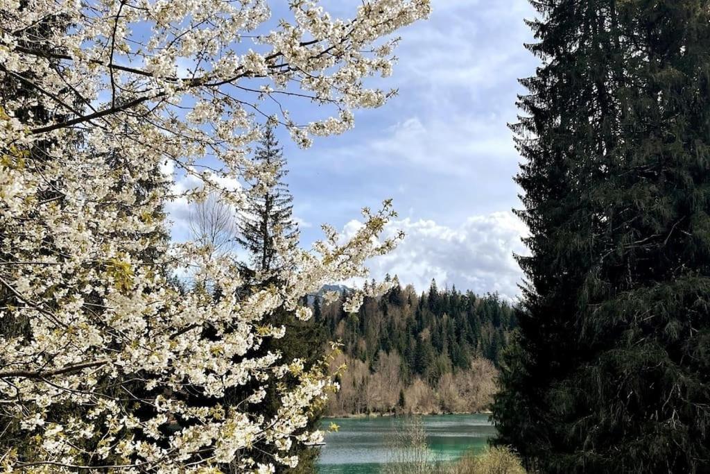Wohnung Mit Fantastischer Aussicht Trin Dış mekan fotoğraf